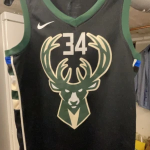 NBA Giannis Antetokoumnpo Jersey - Den är mycket använd men fortfarande i bra skick.  Inga större problem