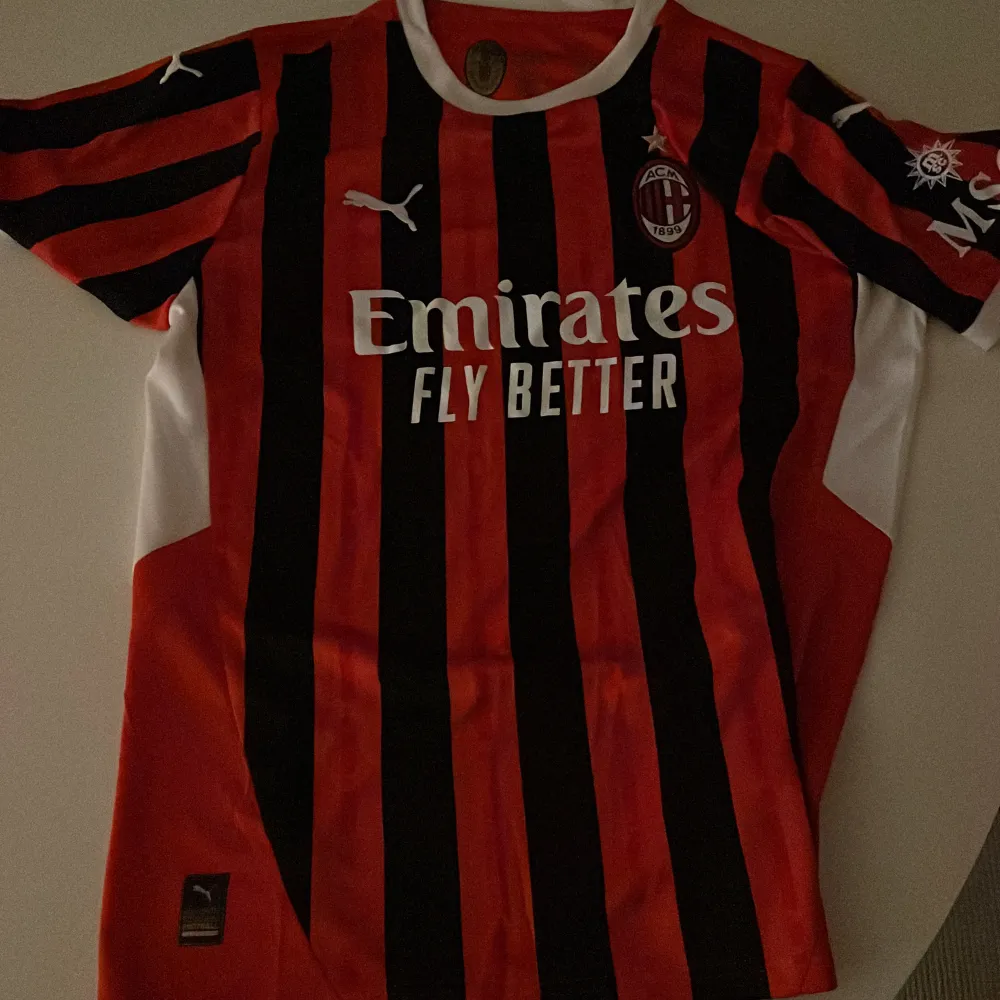 Jag säljer min milan tröja som är från  säsongen 23/24. Den är i Large och sitter bra. Nyskick . Sportswear.