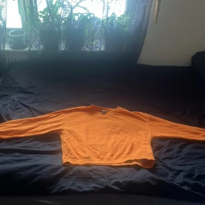 Orange sweatshirt från Monki - Säljer en orange sweatshirt från Monki i storlek M. Tröjan har en klassisk rund halsringning och långa ärmar. Perfekt för dig som gillar en enkel och färgstark stil. Materialet känns mjukt och bekvämt mot huden.