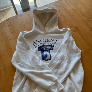 Beige hoodie - Beige hoodie i storlek S passar S-M perfekt. Riktigt skön att ha på sig och funkar att ha på sig året om. Köpt för 450kr ny. Hör av er vid frågor och intresse!