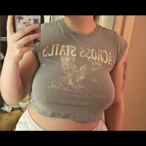 Croppad t-shirt  - Jätte fin grå t-shirt, knappt använd🩷