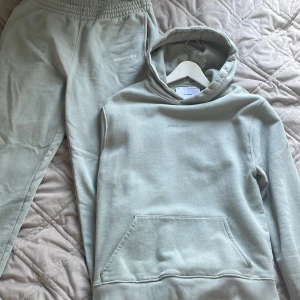 Ljusgrön dress från Arigato - Ljusgrön dress från Arigato, 