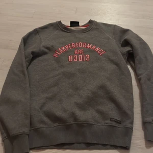 Grå Peak Performance sweatshirt - Snygg grå sweatshirt från Peak Performance med röd broderad text 'PEAK PERFORMANCE ÅRE 83013' på bröstet. Tröjan har rund halsringning, långa ärmar och ribbade muddar vid ärmslut och nederkant. Perfekt för en chill och sportig stil.