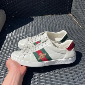 Gucci ace skor  - Säljer nu dessa snygga Gucci ace skor i uk 10 som passar 43, skriv för fler bilder/frågor🙌🏼