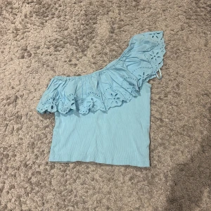 Ljusblå offshoulder topp från Zara - Superfin ljusblå offshoulder topp från Zara med volang och broderade blommor längs kanten.