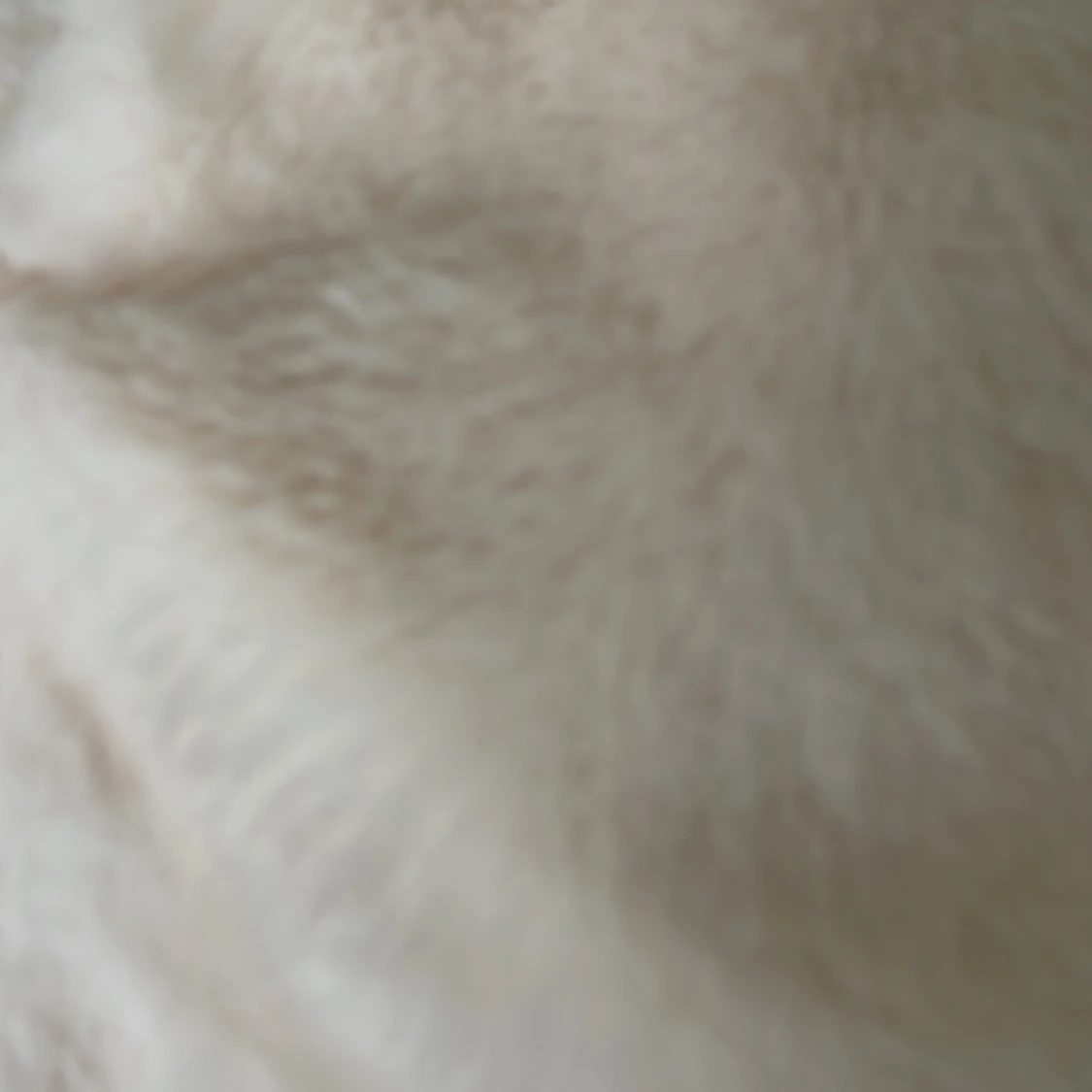 Beige pälsjacka med knappar - 1