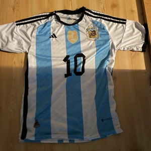 Argentina fotbollströja  - Säljer en Argentina fotbollströja med nummer 10 Messi på ryggen, tröjan är knappt använd. Pris kan diskuteras 