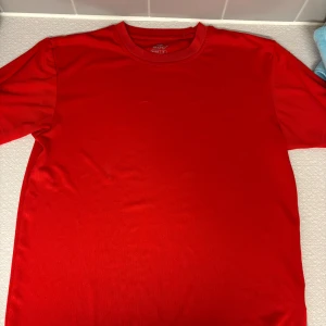 Röd basic t-shirt från Clique - Enkel och stilren röd t-shirt från Clique i klassisk modell. T-shirten har rund halsringning och korta ärmar, perfekt för en clean och avslappnad look. Tillverkad i mjuk bomull som känns skön mot huden.