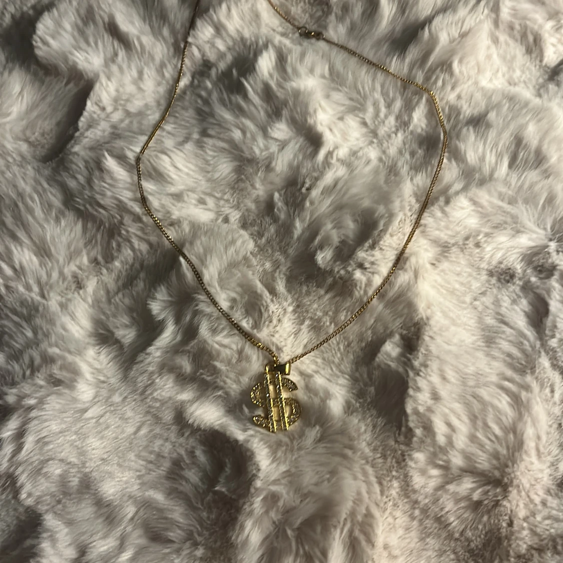 Dollar halsband  - 1