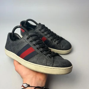 Gucci Ace skor - Gucci ace sneakers i en eftertraktad färg! Storlek 42, skick 8/10. Endast skor tillkommer vid köp!