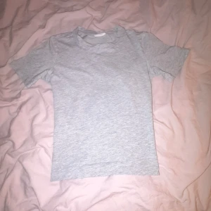 Ljusgrå basic t-shirt  - Enkel och stilren ljusgrå t-shirt från gina tricot 