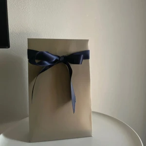 Presentpåse lyxxa - Säljer en presentpåse från Lyxxa som inte används 