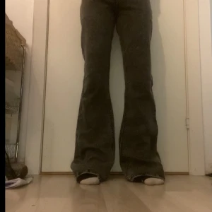 Ljusgråa bootcut/ flare jeans  - Jätte fina bootcut/flare jeans. Jag har ett likadant par fast svarta på min profil, priset för dem båda kan diskuteras 