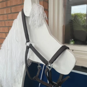 Grimma  - Säljer en helt ny grimma som inte har används 