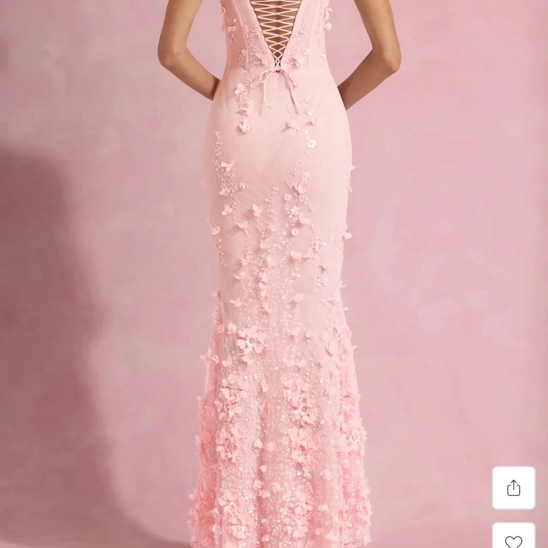 Vasanta oh polly - 4