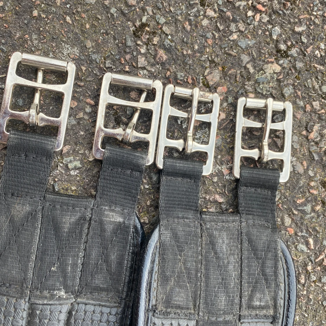 Fin Sadelgjord🤍 - 1