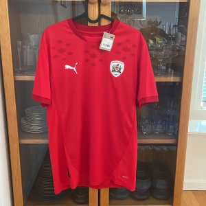 Barnsley FC röd Puma matchtröja M 2024-2025 - Barnsley FC:s officiella matchtröja från Puma i intensiv röd färg. Tröjan har korta ärmar, klubbmärke och Puma-logga på bröstet samt stjärnmönster upptill. Tillverkad i lätt och ventilerande polyester med dryCELL-teknologi. Snygg detalj med 'parliament' tryckt på ryggen. Samlar själv på fotbollströjor och kan garantera att varan är 100% äkta!