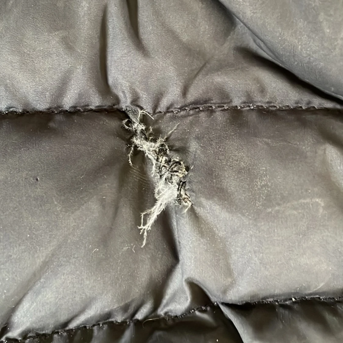 Svart dunjacka från Parajumpers - 4