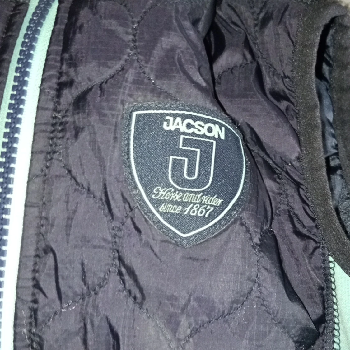 Jättefin ridväst - 2