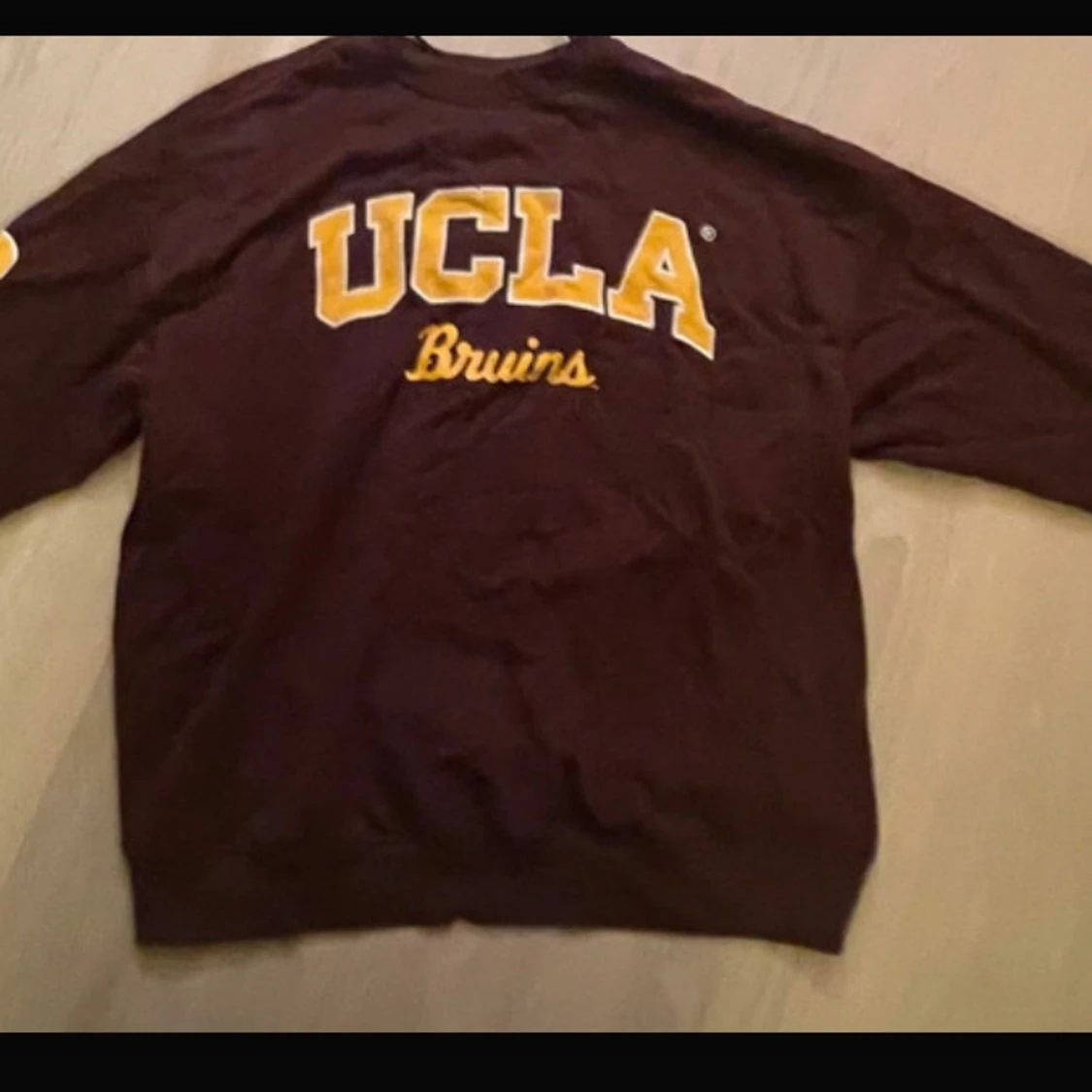 Brun UCLA sweatshirt