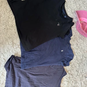 Tre t shirts - Tre olika t shirts från polo och två från gant. Bra kvalité och supersnygga nu till sommaren❤️