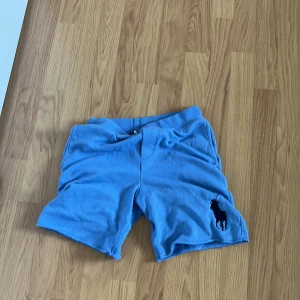 Blå shorts från Polo Ralph Lauren - Säljer ett par ljusblå shorts från Polo Ralph Lauren med klassisk logga broderad i mörkblått på ena benet. Shortsen har resår i midjan och en bakficka. Perfekta för sommaren!