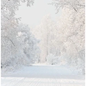 Arkivfoto  - Går ej att köpa 