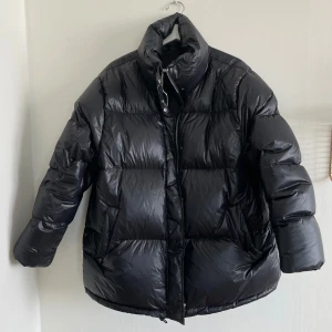 Svart dunjacka från & Other Stories - Snygg svart dunjacka från & Other Stories med hög krage och dragkedja. Sparsamt använd. Från djur och rökfritt hem. 