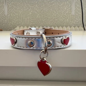 Hundhalsband  - Ett helt nytt hundhalsband på 35 cm!