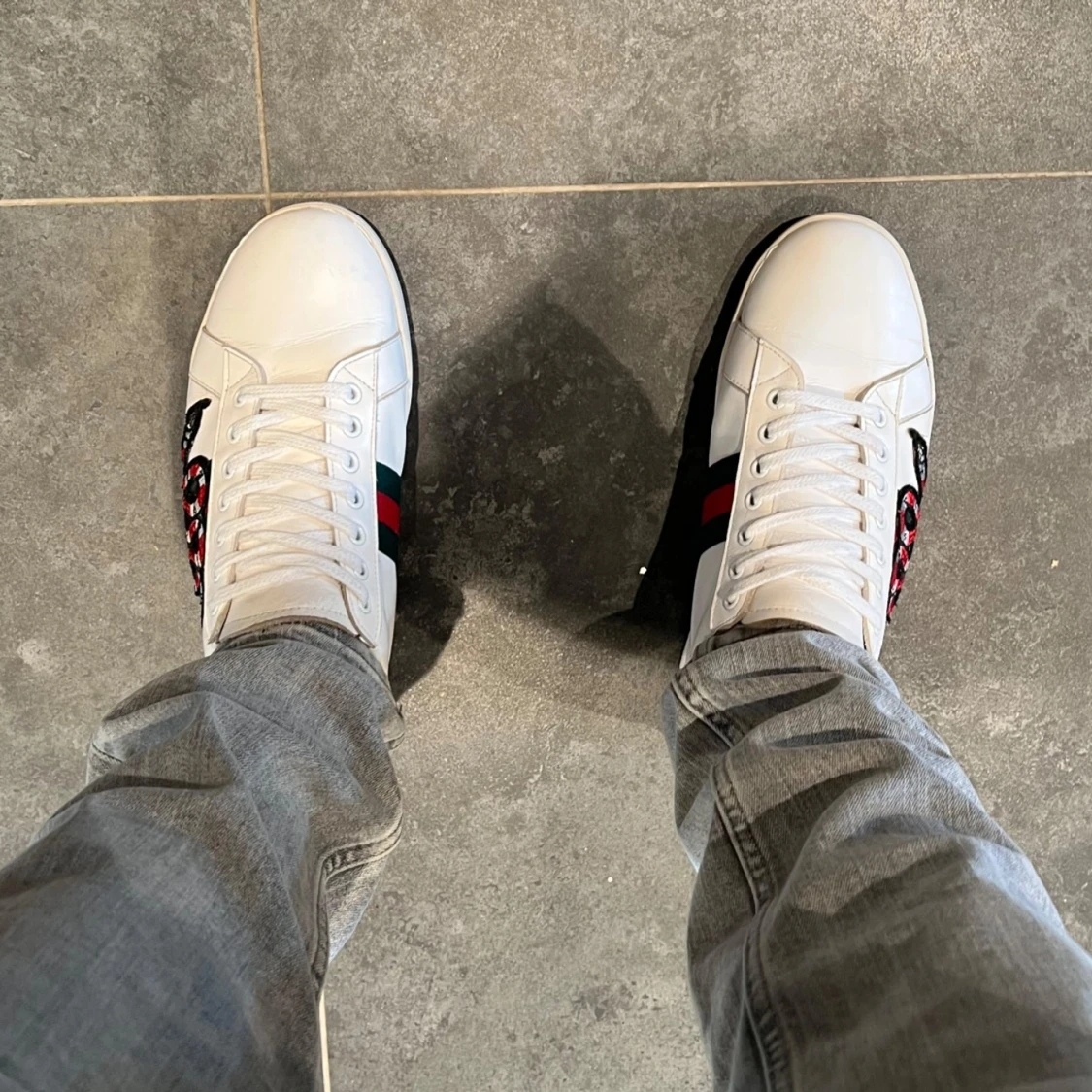 Gucci ace