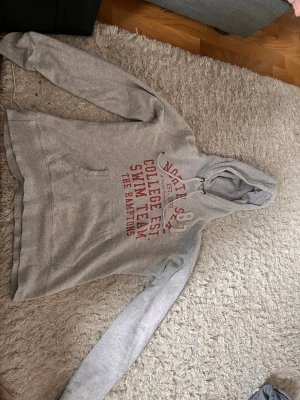 Grå hoodie med text-tryck - Säljer en grå hoodie med rött college-inspirerat tryck på bröstet där det står 'COLLEGE EST. SWIM TEAM THE HAMPTONS'. Hoodien har huva med dragsko och en stor magficka. Perfekt för en avslappnad och sportig stil.