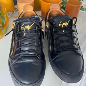 Giuseppe Zanotti skor - Storlek 43 i fint skick
