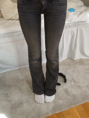 Mörkgrå bootcut jeans cheep Monday  - Säljer ett par mörkgrå bootcut jeans från weekday. Jeansen har låg midja som inte säljs längre. Super bra i passformen och stretchiga men lagom bootcut. Storleken är 26 men det är omsydda och passar runt 25, 24 och 26 eftersom det är så stretchiga. Benöängden är 32 