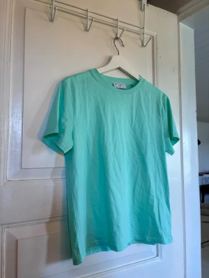 Mintgrön t-shirt från Holly & White - Snygg mintgrön t-shirt från Holly & White i mjuk bomull. Klassisk rund halsringning och korta ärmar. Perfekt basplagg till garderoben och enkel att matcha med olika stilar.