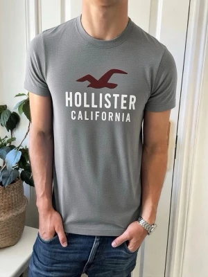 Hollister T-shirt  - Hollister T-shirt - storlek: S - väldigt gott skick - vid frågor hör av er! Först till kvarn!
