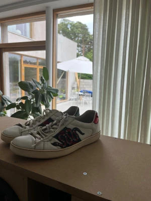 Gucci ace skor - Tja, säljer dessa schyssta Gucci ace skor. Självklart äkta. Behövs närmare bilder för att bevisa äktenht så fixas det såklart. Skorna är använda men fortfarande i bra skick för och inga märkvärda stora deffekter. Tevka inte på att skriva vid funderingar. MVH