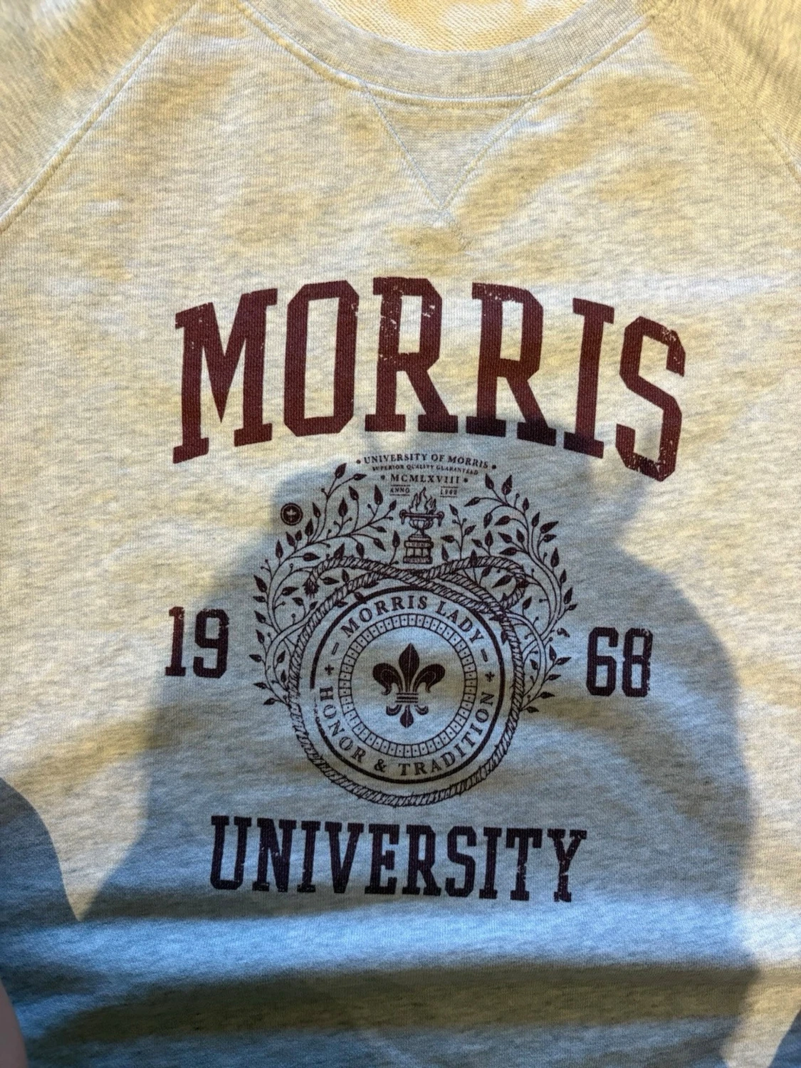 Grå sweatshirt Morris lady - 2