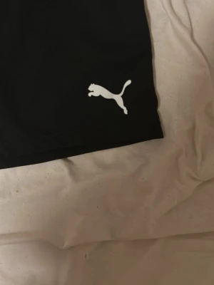 Svarta träningsshorts från Puma - Snygga svarta träningsshorts från Puma med klassisk logga i vitt på ena benet. Shortsen har elastisk midja och är gjorda i ett lätt och bekvämt material som passar perfekt till sport och aktivitet.