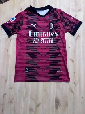 AC Milan matchtröja Leão 10 Puma - Snygg röd och svart AC Milan matchtröja från Puma med tryck 'Emirates Fly Better' på bröstet och 'R. Leão 10' på ryggen. Tröjan har korta ärmar, svart krage och detaljerade mönster. Tillverkad i lätt funktionsmaterial med DriCELL-teknologi.