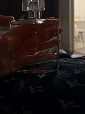 Elegant parfymflaska i glas - Säljer en elegant parfymflaska i genomskinligt glas med svagt rosa-orange tonad vätska. Flaskan har en modern, rundad form och ett stilrent lock i plast. Perfekt för dig som vill ha en snygg detalj på sminkbordet.