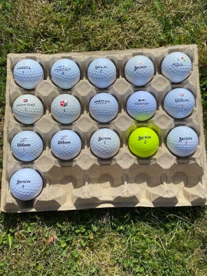 Blandade golfbollar - Säljer ett set med 16 golfbollar från olika märken som Srixon, Wilson, Pinnacle och Slazenger. 