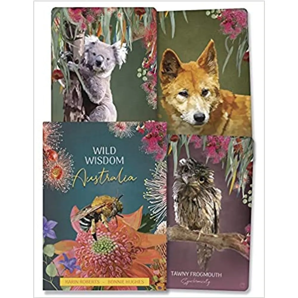 Embrace the vibrance and wisdom of Australia's unique wildlife. These marvellous creatures from bush, sea, desert, and sky have empowering gifts and inspiration to share with you. Dive deep with Kingfisher, speak out with Cockatoo, tune in to happiness with Quokka, and discover the rich, ancient source of insight within you. Animals communicate through a soul language that connects us all. Hear their whispers, feel their calls, and receive their timeless guidance. Within this oracle, 44 animal teachers offer specialised knowledge and perspectives to help you navigate the environments, seasons, and cycles of your life. This delightfully illustrated set includes sacred geometry, mantras, and colour and chakra associations to catalyse and bolster the magic and meaning of your new animal friends. Draw a card to awaken your wild and glorious potential today. 44 full colour cards & 108pp guidebook. Böcker.
