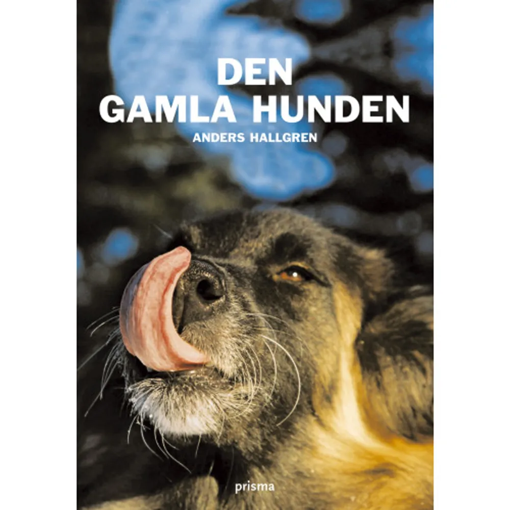 Gamla hundar kan och vill. Men i vår stressiga värld, till bredden fylld med plikter och måsten, tänker vi inte lika mycket på dem som inte kräver. Tyvärr blir de ofta bortglömda där de ligger tysta, följer en med blicken och bara väntar på att något ska hända. Vi tror kanske inte att de behöver stimulans på samma sätt som en ung hund. Men, så fel vi har. Precis som människor behöver åldrande hundar stimulans och fysisk träning för att hjärnan och kroppen ska fungera fullt ut. Eftersom gamla hundar oftast är lugna, kloka hundar, är det egentligen ganska enkelt att ge dem det de behöver. Det är lätt att ta dem med nästan överallt i stället för att lämna dem ensamma hemma. Bara att få följa med i bilen fram och tillbaks till affären är ett roligt avbrott, och att få hänga med matte eller husse är härligt i sig. De är villiga hjälpredor i hushållsarbetet också, t.ex. när det gäller att bära ut soporna och hämta posten. Här, i de gamla hundarnas egen bok, finns massor av tips på enkla sysselsättningar, träning, friskvård m.m. Ta vara på din gamla hund och se till så att ålderdomen verkligen blir de gyllne åren för din trogna kamrat, som den så väl förtjänar.    Format Kartonnage   Omfång 120 sidor   Språk Svenska   Förlag Prisma   Utgivningsdatum 2004-09-16   Medverkande Eivor Rasehorn   Medverkande Anders Hallgren   ISBN 9789151843308  . Böcker.