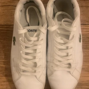 Vita Lacoste Skor/Shoes - Storlek 41 NYA
