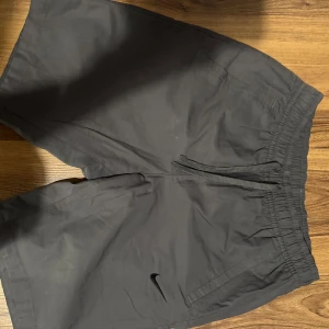 Nike shorts - Fint skick