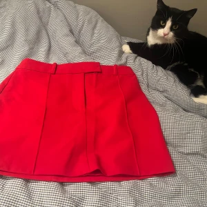 Skitsnygg röd dressad kjol - Skitsnygg röd dressad kjol från H&M i storlek 34. Passar perfekt på mig med xs. Köpt förra julen, säljs inte längre, aldrig använd. Minns ej nypriset exakt men har för mig att det var cirka 350 kr. OBS: bakfickan är ingen ”riktig” ficka.  🎄🎅🏼❤️🧣