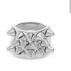 Silvrig Edblad ring - Säljer min Edblad ring med nitar i silver då den inte kommer till användning❣️köpte för 399