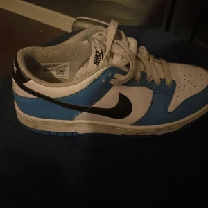 Feta dunks - Jävligt feta nike dunk nästan aldrig avända säljer dom för att ja har användnig 