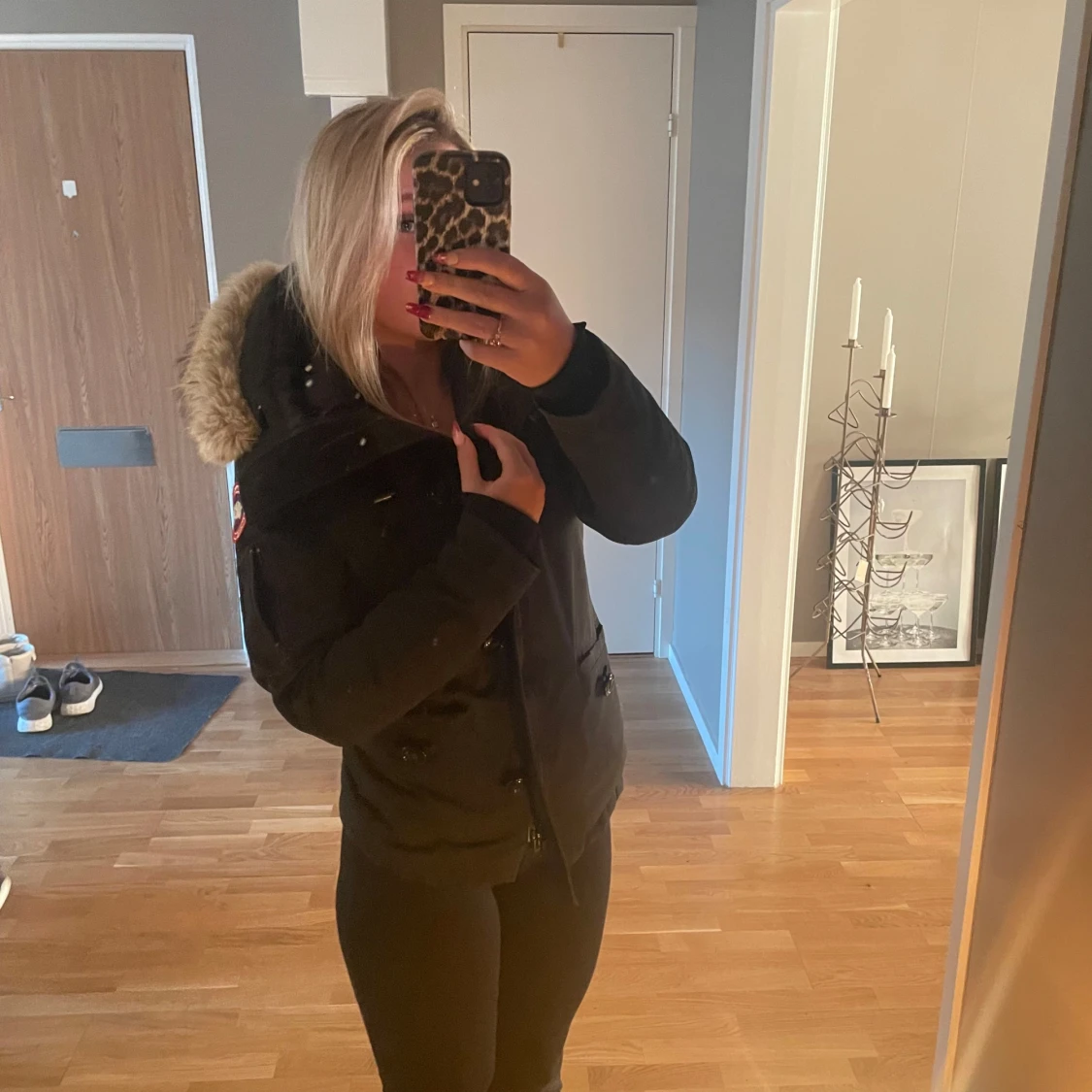 Svart canada goose - 93