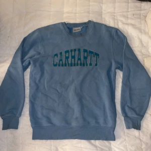 Blå sweatshirt från Carhartt - Säljer en snygg blå sweatshirt från Carhartt i storlek XS. Tröjan har ett stort Carhartt-tryck på framsidan och är perfekt för en avslappnad stil. Den är i bra skick och superbekväm att ha på sig. Perfekt för både höst och vår!